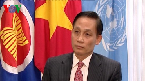 Botschafter Le Hoai Trung: Vietnam unterstützt den Wunsch nach Frieden in der Welt - ảnh 1